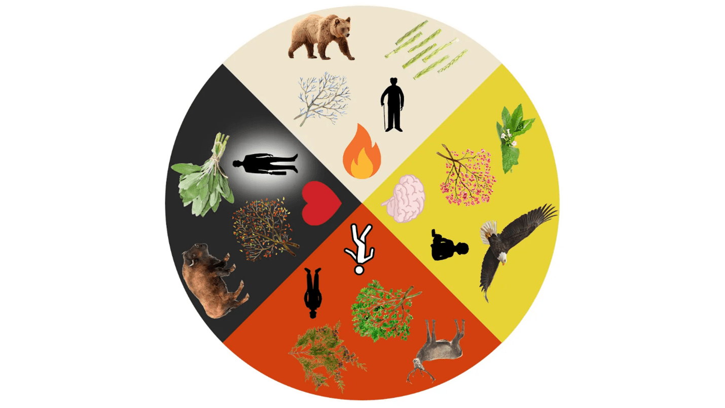 Holistic Integration