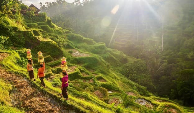 The Collective Spirit